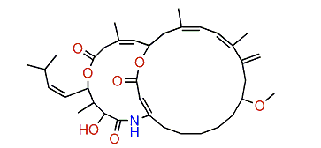 Amphilactam B